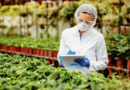 La importancia de la trazabilidad y la seguridad alimentaria